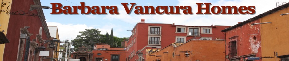 Barbara Vancura Home Decor